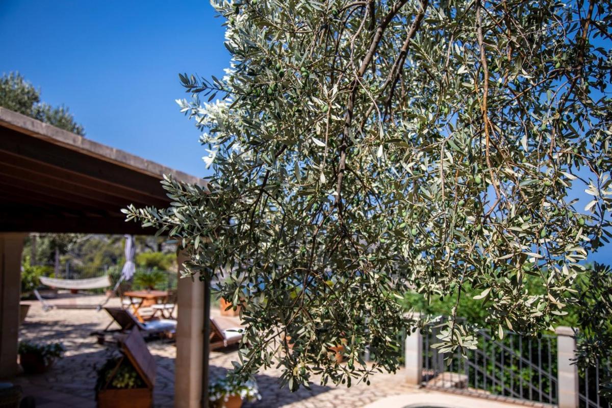 Finca Rural Es Pujol Sóller Exteriör bild