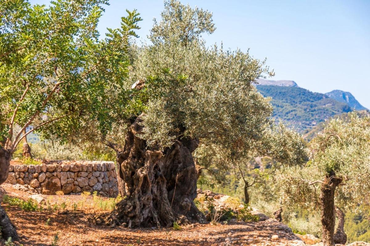 Finca Rural Es Pujol Sóller Exteriör bild
